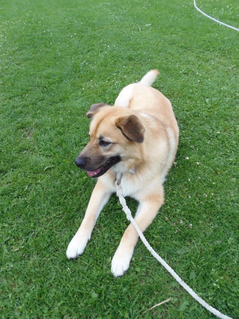 ../fotos/het_verlaat_2017/2017-07-10 18.41.40.jpg